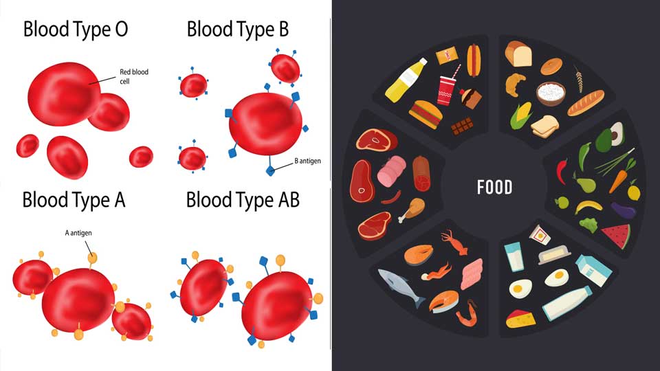 which diet according to blood types