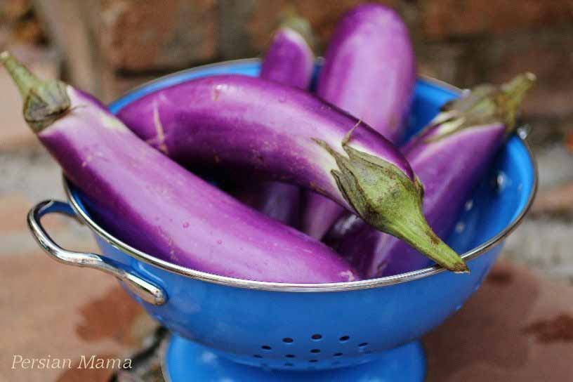chinese eggplants,How to Cook Eggplant Dip (Kashk-e Bademjan) Recipe 